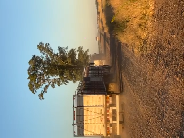 Camión de transporte de hacienda bovina