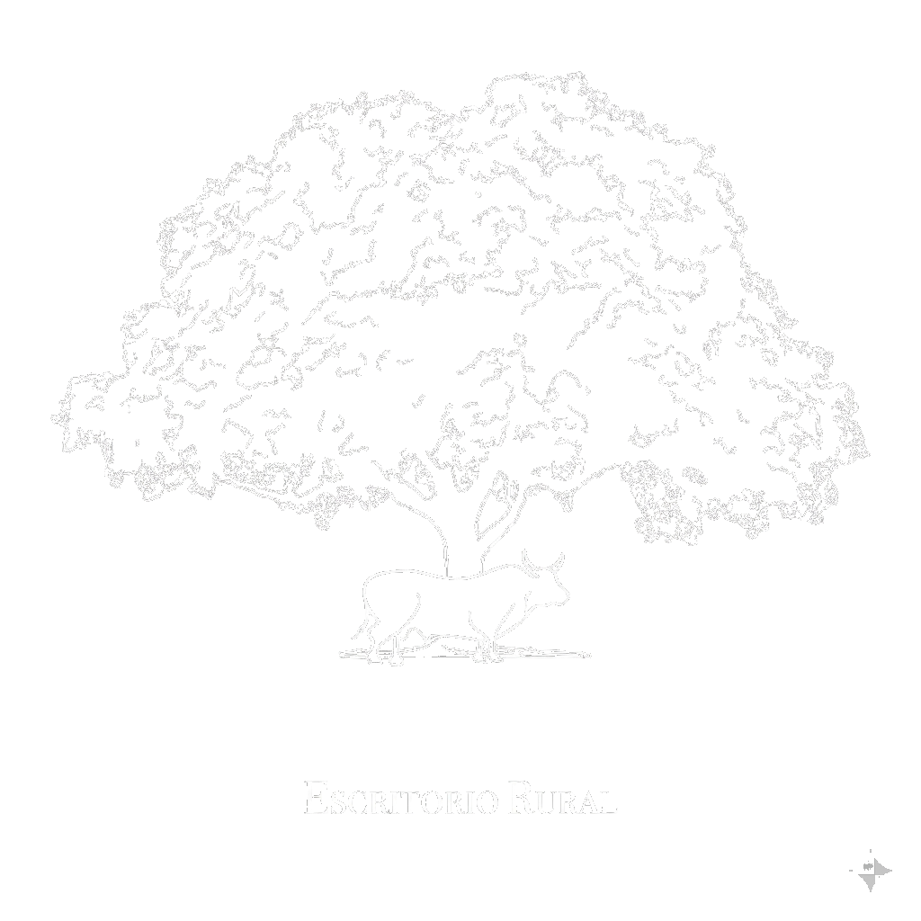 GYS Agronegocios logo